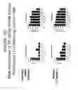 Fig. 134 - METHODS AND COMPOSITIONS FOR TREATING AND DIAGNOSING DISEASES