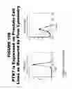 Fig. 197 - METHODS AND COMPOSITIONS FOR TREATING AND DIAGNOSING DISEASES
