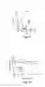 Fig. 12 - Neutralizing antibodies and methods of use thereof