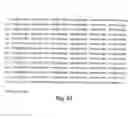 Fig. 48 - Neutralizing antibodies and methods of use thereof
