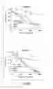 Fig. 49 - Neutralizing antibodies and methods of use thereof