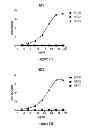 Fig. 02 - HER3 antibodies and uses thereof