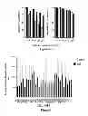 Fig. 07 - HER3 antibodies and uses thereof
