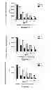 Fig. 08 - HER3 antibodies and uses thereof