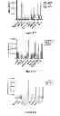 Fig. 22 - HER3 antibodies and uses thereof
