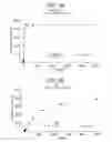 Fig. 08 - ANTI-CXCR4 ANTIBODIES AND METHODS OF USE