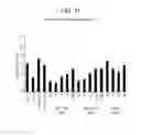 Fig. 12 - ANTI-CXCR4 ANTIBODIES AND METHODS OF USE
