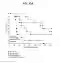 Fig. 17 - ANTI-CXCR4 ANTIBODIES AND METHODS OF USE