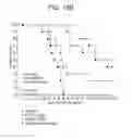 Fig. 18 - ANTI-CXCR4 ANTIBODIES AND METHODS OF USE