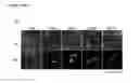 Fig. 05 - MODULATION OF HISTONE DEACETYLASES FOR THE TREATMENT OF METABOLIC DISEASE, METHODS AND COMPOSITIONS RELATED THERETO
