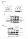 Fig. 09 - MODULATION OF HISTONE DEACETYLASES FOR THE TREATMENT OF METABOLIC DISEASE, METHODS AND COMPOSITIONS RELATED THERETO