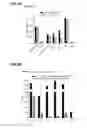 Fig. 06 - Method and compositions for cellular immunotherapy