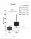 Fig. 27 - METHOD TO MEASURE INFLAMMATION IN THE CONJUNCTIVA OF PATIENTS WITH TEAR DYSFUNCTION