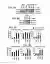 Fig. 08 - Methods, agents and peptides for inhibiting matrix metalloproteinase-2 signaling
