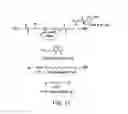 Fig. 19 - Stabilized STAT3 decoy oligonucleotides and uses therefore