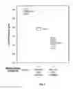 Fig. 08 - Novel Enhanced Formulations for Coating Medical Devices