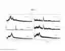 Fig. 06 - POROUS SCAFFOLD FOR TISSUE ENGINEERING AND PREPARATION METHOD THEREOF
