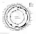 Fig. 02 - BACTERIALLY FORMED MICROCIN S, A NEW ANTIMICROBIAL PEPTIDE, EFFECTIVE AGAINST PATHOGENIC MICROORGANISMS, E.G. ENTEROHEMORRHAGIC ESCHERICHIA COLI (EHEC)