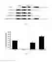 Fig. 04 - Recombinant polypeptides for membrane fusion and uses thereof