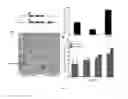 Fig. 06 - Recombinant polypeptides for membrane fusion and uses thereof