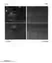 Fig. 07 - Vaccine Therapy