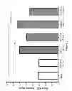 Fig. 06 - Use of pituitary adenylate cyclase-activating polypeptide (PACAP) and PACAP analogs for treating contrast-induced nephropathy