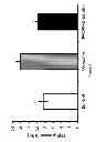 Fig. 10 - Use of pituitary adenylate cyclase-activating polypeptide (PACAP) and PACAP analogs for treating contrast-induced nephropathy