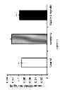 Fig. 12 - Use of pituitary adenylate cyclase-activating polypeptide (PACAP) and PACAP analogs for treating contrast-induced nephropathy