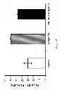 Fig. 13 - Use of pituitary adenylate cyclase-activating polypeptide (PACAP) and PACAP analogs for treating contrast-induced nephropathy