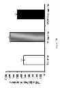 Fig. 17 - Use of pituitary adenylate cyclase-activating polypeptide (PACAP) and PACAP analogs for treating contrast-induced nephropathy