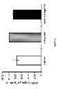 Fig. 19 - Use of pituitary adenylate cyclase-activating polypeptide (PACAP) and PACAP analogs for treating contrast-induced nephropathy