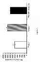 Fig. 20 - Use of pituitary adenylate cyclase-activating polypeptide (PACAP) and PACAP analogs for treating contrast-induced nephropathy
