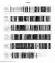 Fig. 02 - Engineered phenylalanine ammonia lyase polypeptides