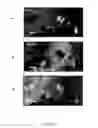Fig. 22 - Functionalized nanodiamonds as delivery platforms for nucleic acids