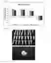 Fig. 07 - Nanoparticulate systems prepared from sorbitan esters