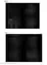 Fig. 09 - Nanoparticulate systems prepared from sorbitan esters