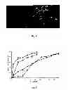 Fig. 02 - Microspheres for controlled- or sustained-release delivery of therapeutics