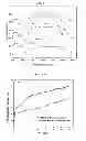 Fig. 04 - Coated mesoporous nanoparticles