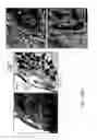 Fig. 30 - Vaccine nanotechnology