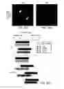 Fig. 40 - Vaccine nanotechnology