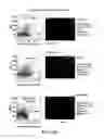 Fig. 44 - Vaccine nanotechnology