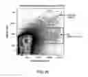 Fig. 46 - Vaccine nanotechnology