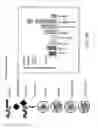 Fig. 52 - Vaccine nanotechnology