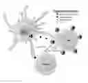 Fig. 01 - Materials and methods for modulating immune responses