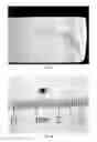 Fig. 02 - Intra-mammary teat sealant formulation and method of using same to reduce or eliminate visual defects in aged cheeses