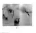 Fig. 03 - Intra-mammary teat sealant formulation and method of using same to reduce or eliminate visual defects in aged cheeses