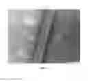 Fig. 04 - Intra-mammary teat sealant formulation and method of using same to reduce or eliminate visual defects in aged cheeses