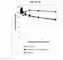 Fig. 06 - Compositions and methods for drug-sensitization or inhibition of a cancer cell