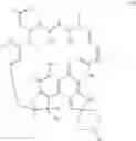 Fig. 89 - Compositions and methods for drug-sensitization or inhibition of a cancer cell