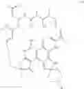 Fig. 95 - Compositions and methods for drug-sensitization or inhibition of a cancer cell